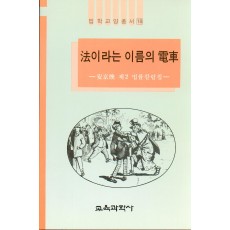 법이라는 이름의 전차 - 법학교양총서 18-안경환 제2법률 칼럼집-