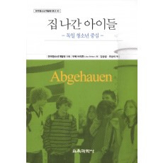 집 나간 아이들-독일 청소년 중심- 한국청소년개발원 문고 3